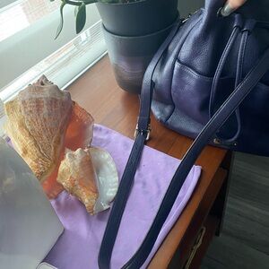 Coach blue crossbody purse